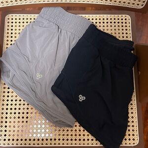 Aritzia Two Pairs of Shorts